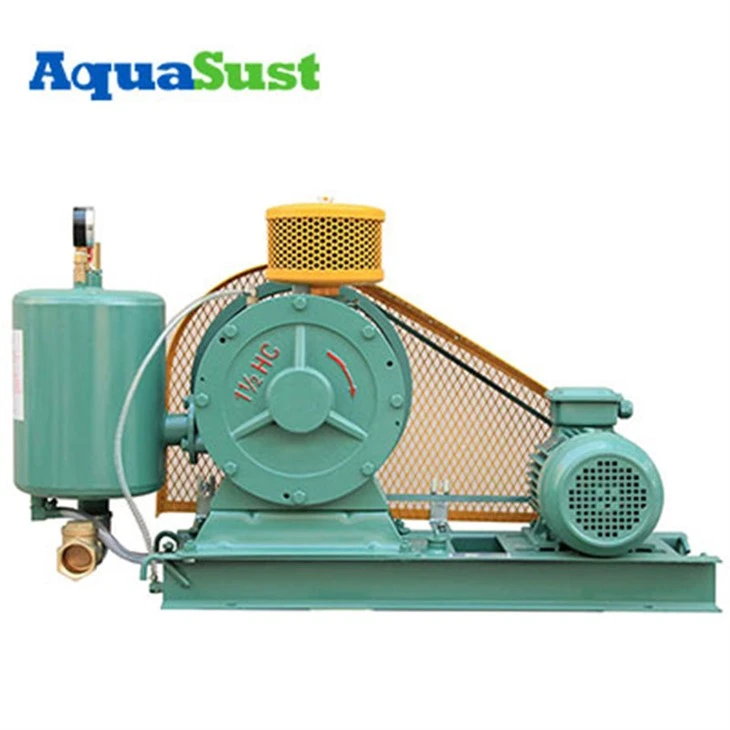 Roots Air Blower
