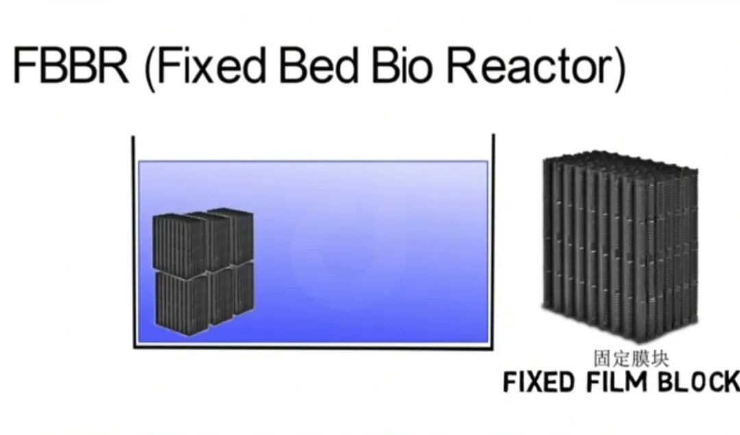 info-1080-636 info-1080-636