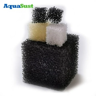 product-800-800 product-800-800